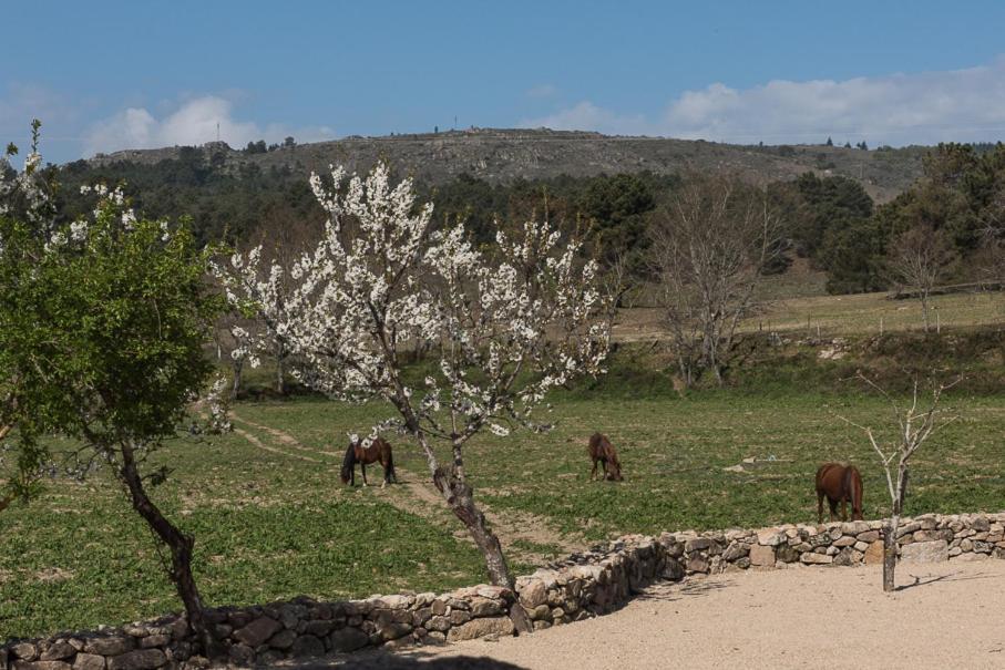 Quinta Do Rio Noemi Hotel Guarda Buitenkant foto